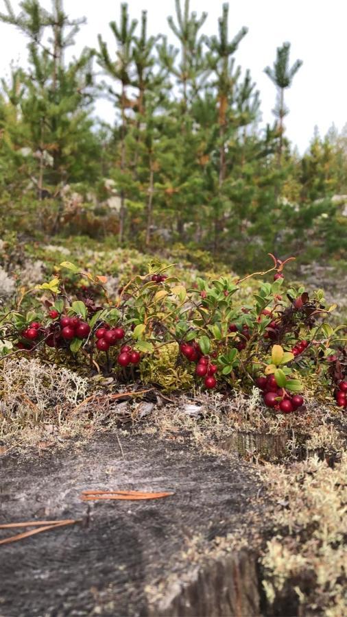 Glampingtält Hotel Torsby Eksteriør billede